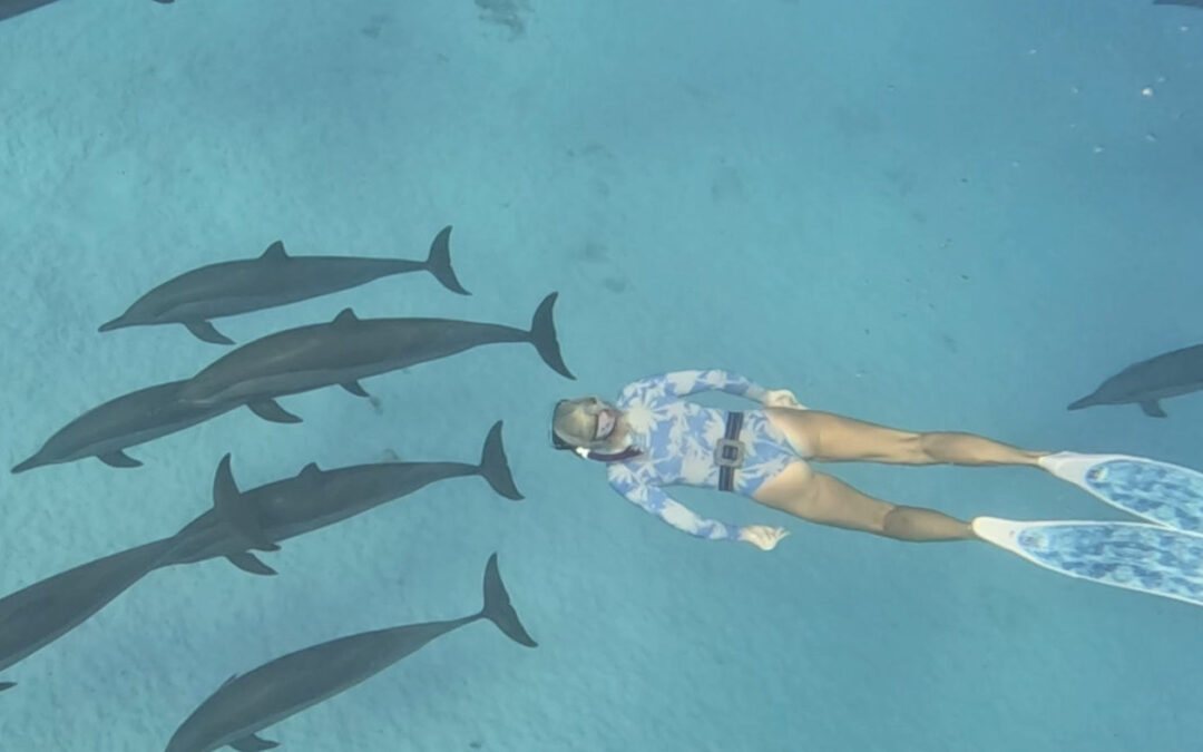 26 września – 3 października 2026