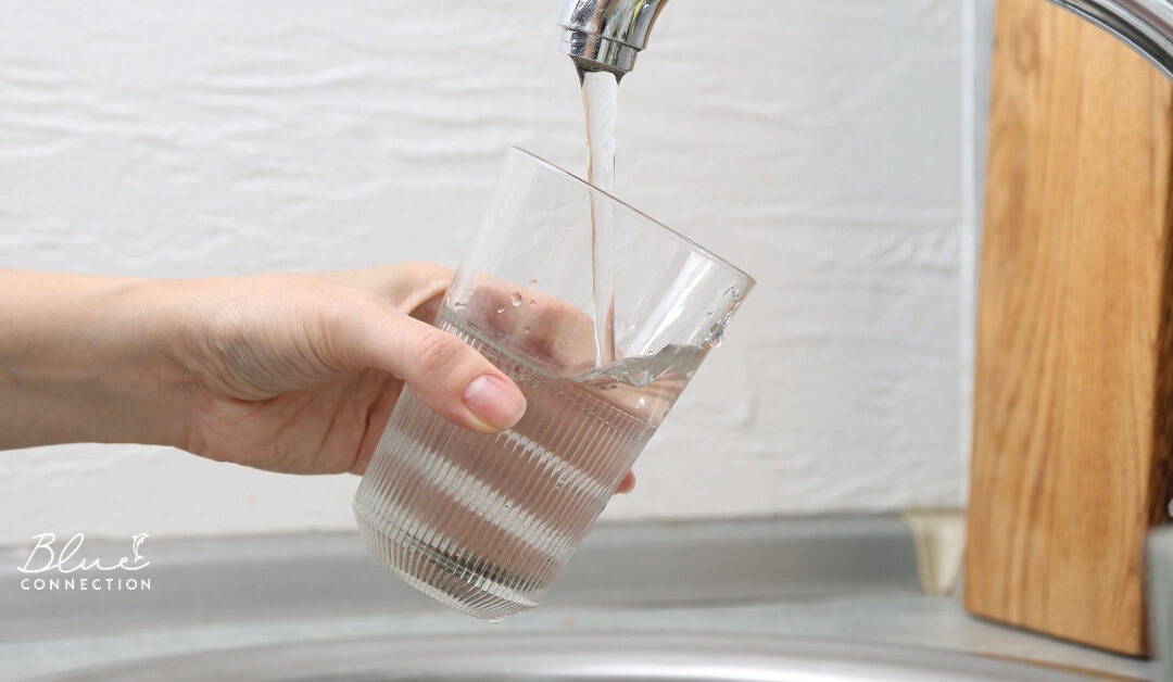 Czy w Egipcie można pić wodę z kranu? I jak przeżyć bez przygód żołądkowych