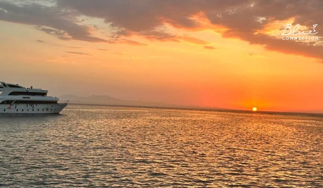 Dlaczego coraz więcej osób przestaje „zwiedzać”, a zaczyna naprawdę doświadczać podróży