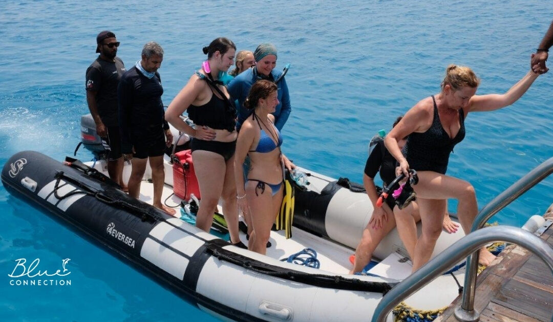 Bezpieczeństwo rejsu na Morzu Czerwonym i w Sataya Dolphin Reef