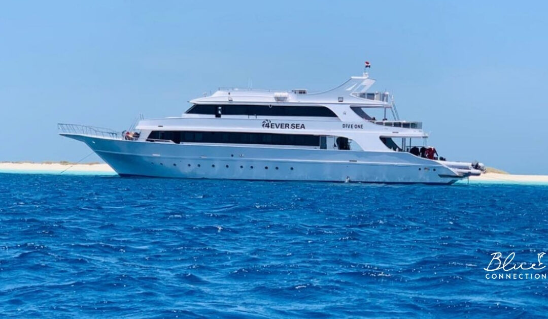 Choroba morska na rejsie. Czy jest się czego bać?