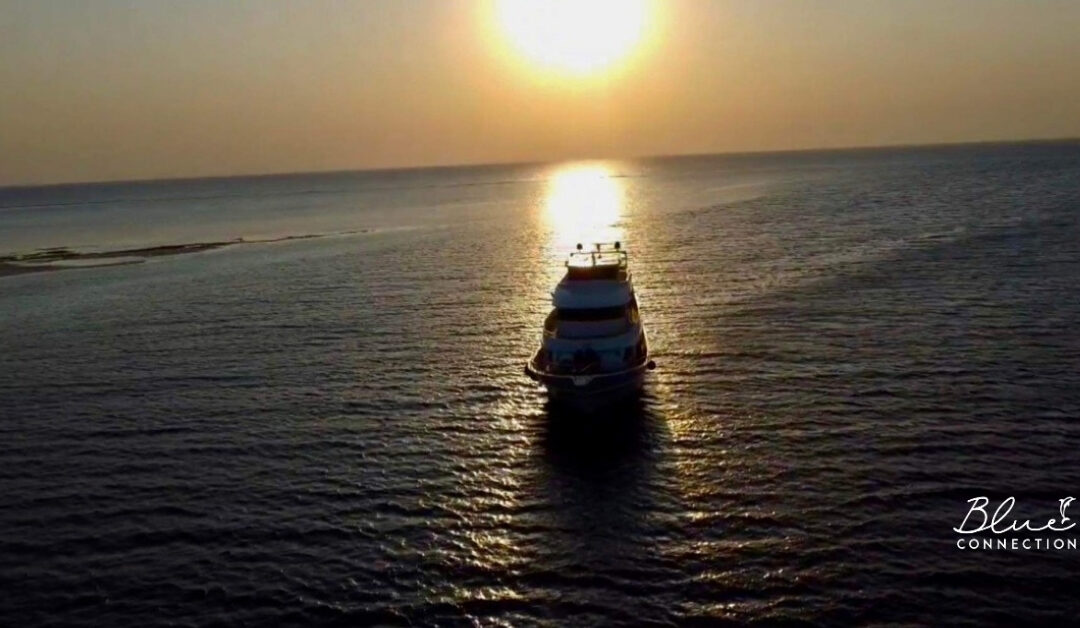 Jak wygląda jeden dzień na rejsie w Sataya