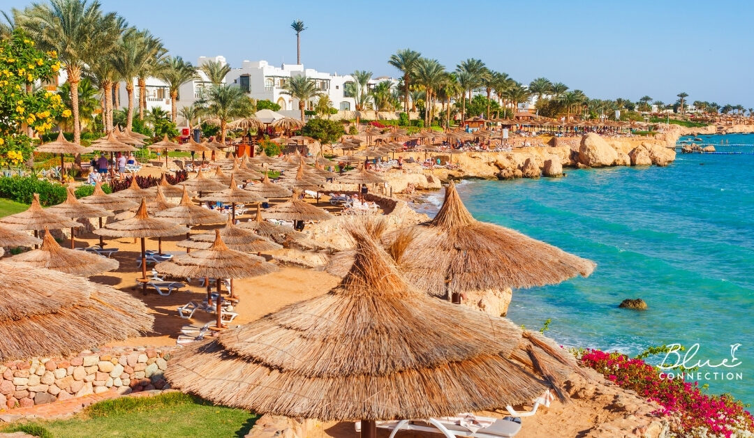 Pułapka na turystów lecących do Egiptu. Wystarczy jeden zły klik i możesz przepłacić za wizę