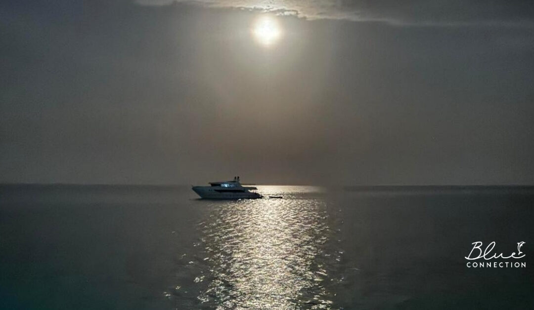 Noc na kotwicy. Co dzieje się na pokładzie, kiedy ocean kładzie się spać?